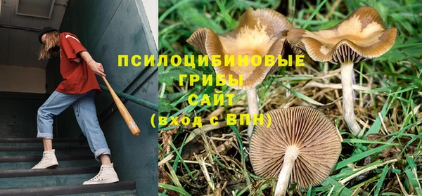 ALPHA-PVP Новозыбков