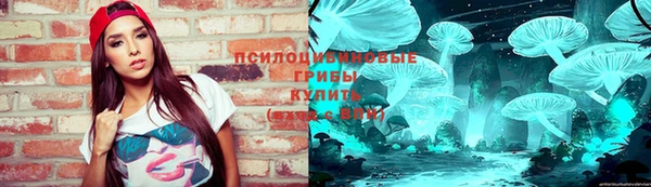 ALPHA-PVP Новозыбков
