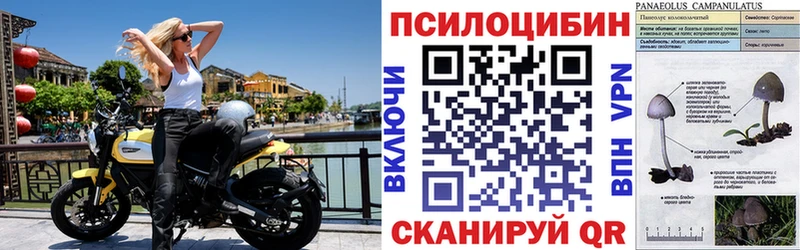 Купить где  Андреаполь  Галлюциногенные грибы мухоморы 